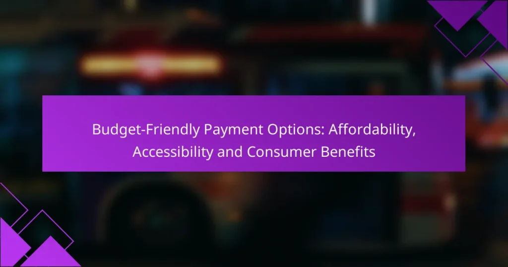 Budget-Friendly Payment Options: Affordability, Accessibility and Consumer Benefits