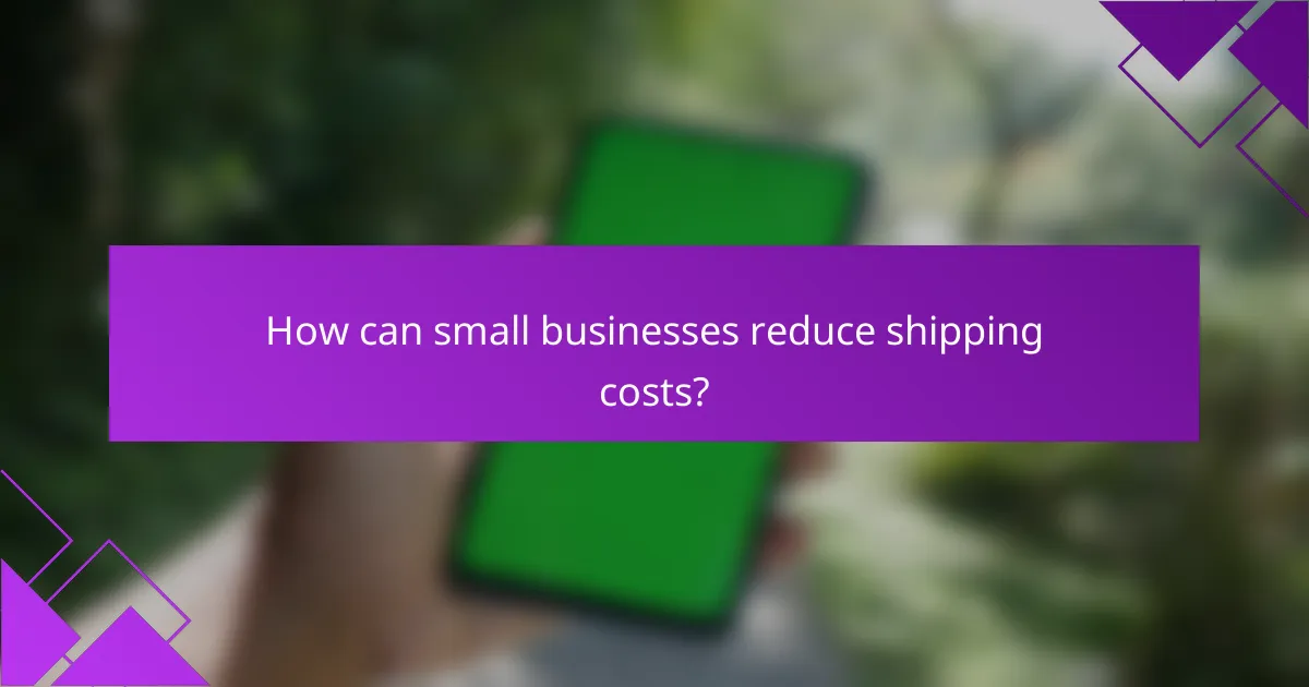 How can small businesses reduce shipping costs?