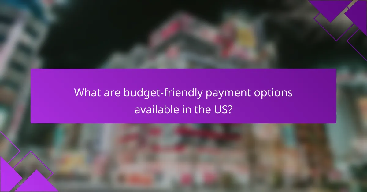 What are budget-friendly payment options available in the US?