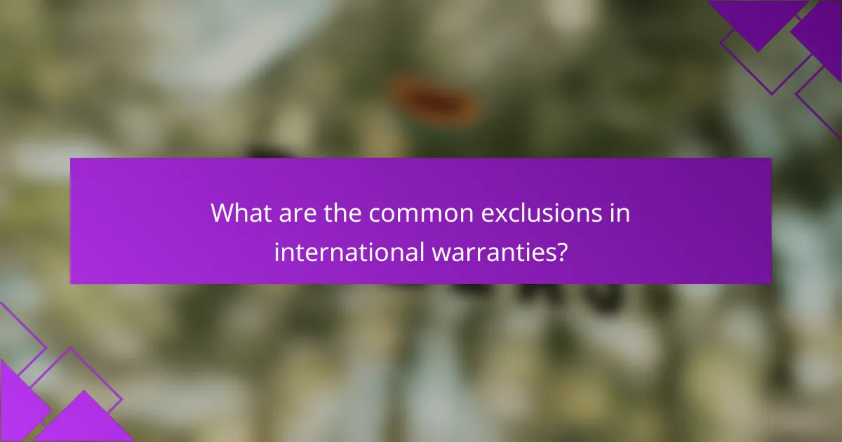 What are the common exclusions in international warranties?