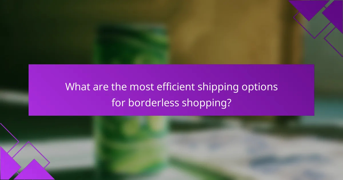 What are the most efficient shipping options for borderless shopping?