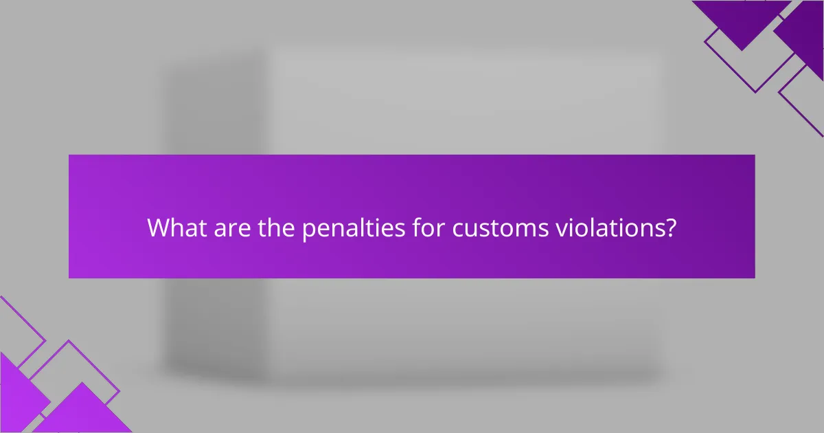 What are the penalties for customs violations?