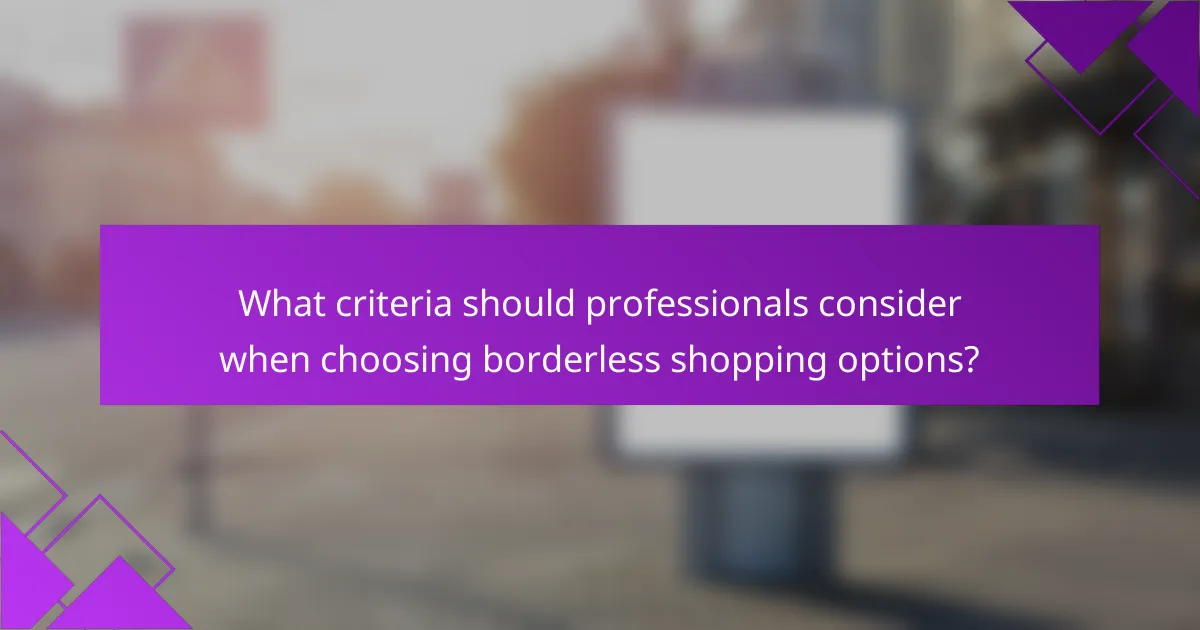 What criteria should professionals consider when choosing borderless shopping options?