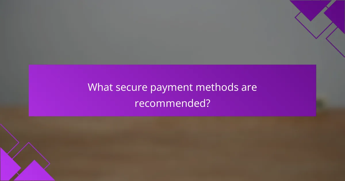 What secure payment methods are recommended?