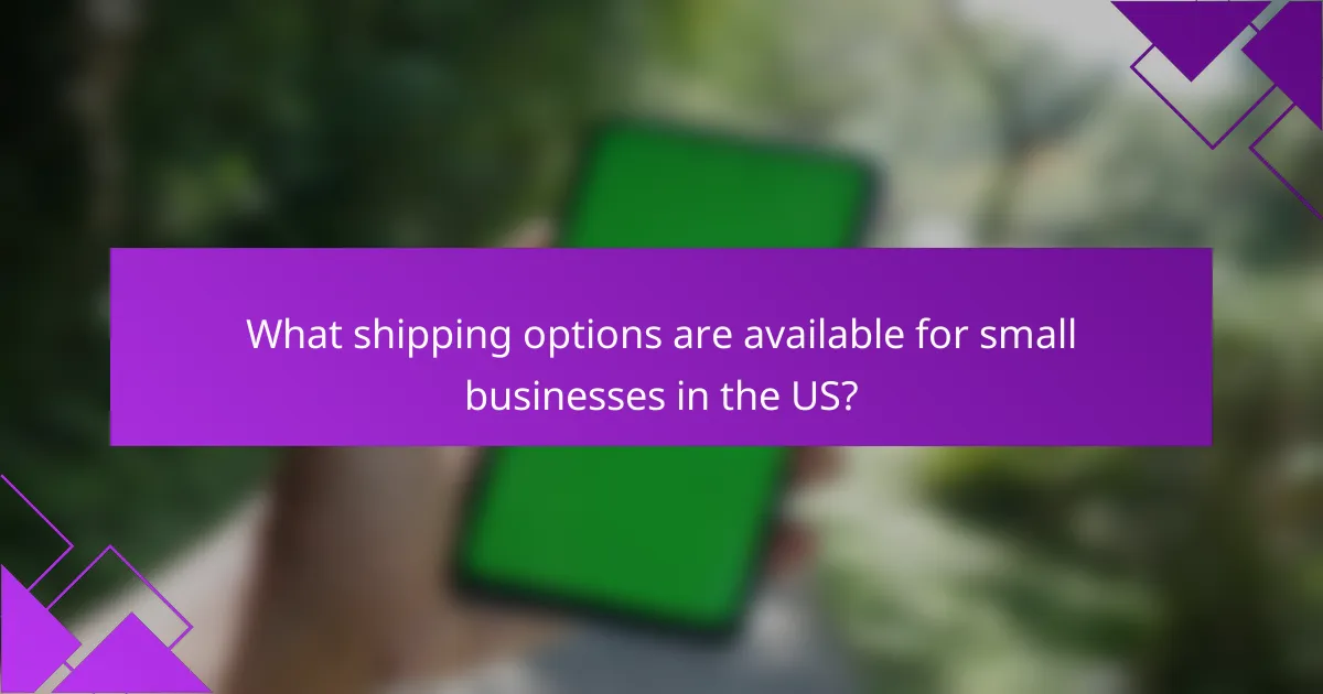 What shipping options are available for small businesses in the US?