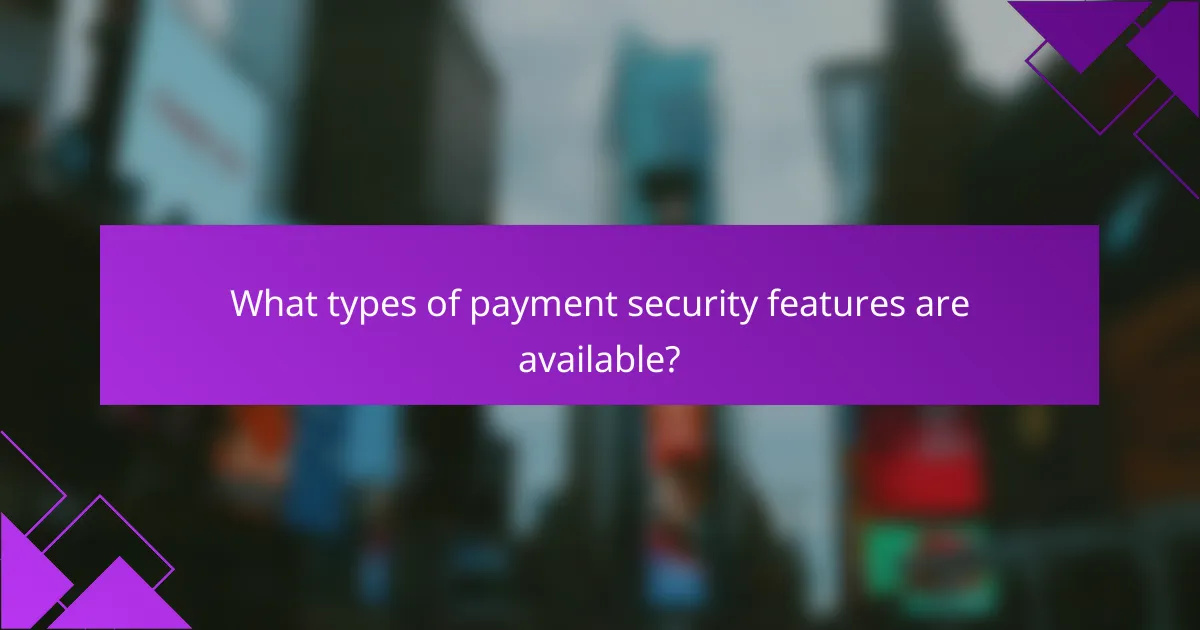 What types of payment security features are available?